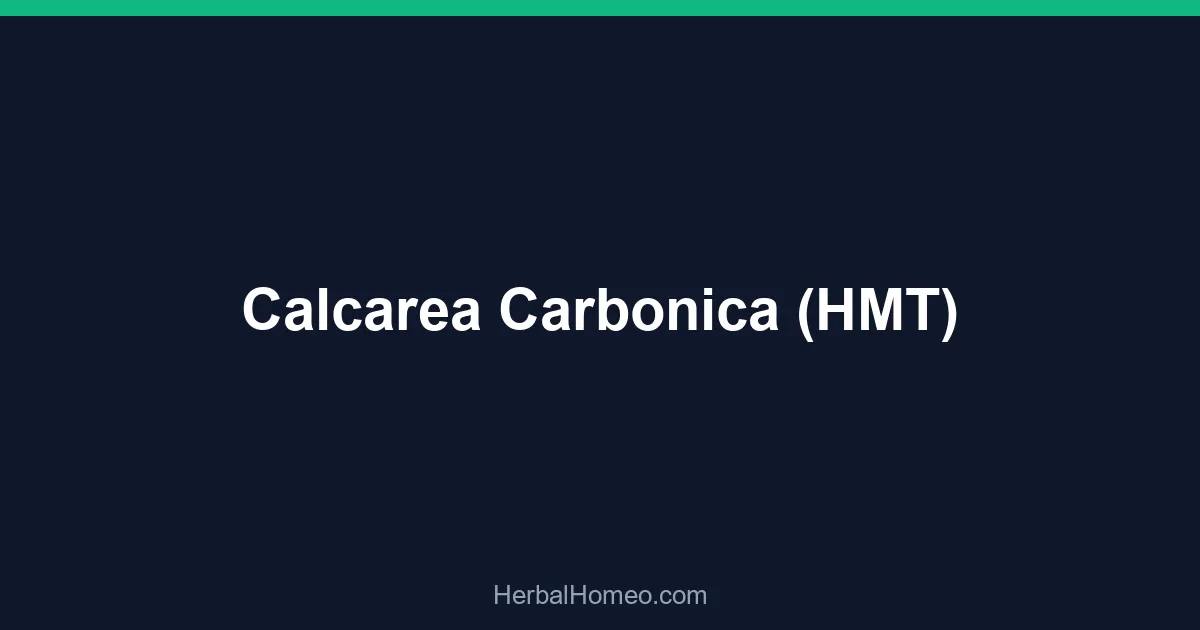 Calcarea Carbonica (HMT)