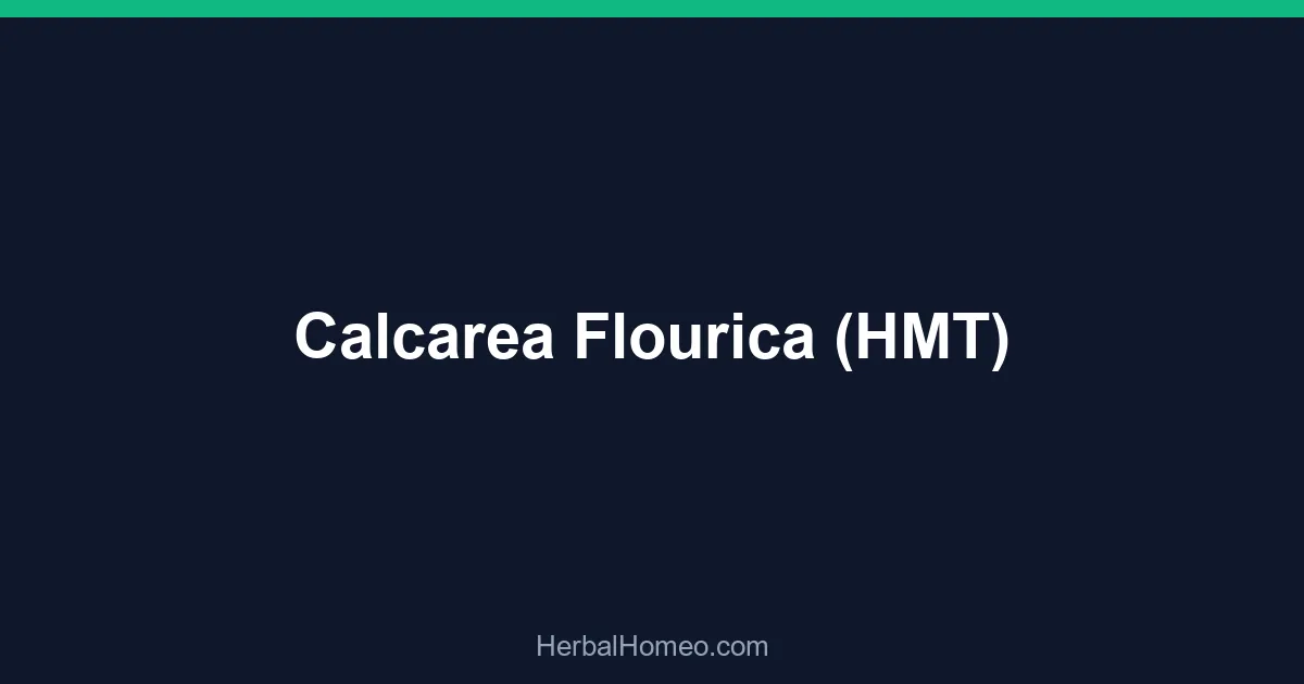 Calcarea Flourica (HMT)