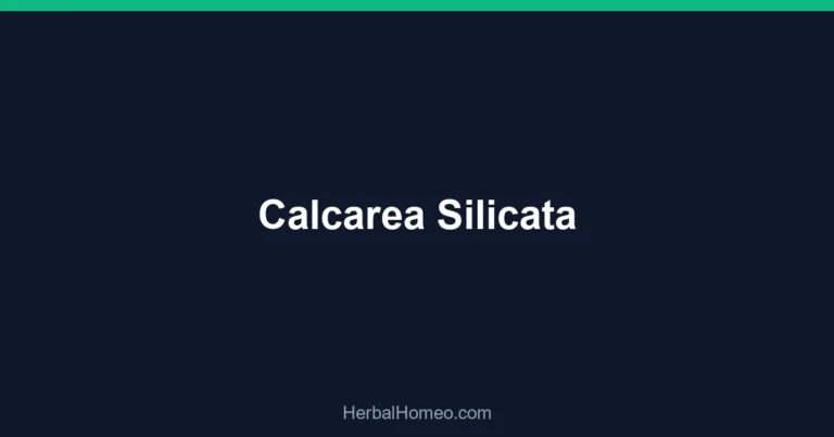 Calcarea Silicata