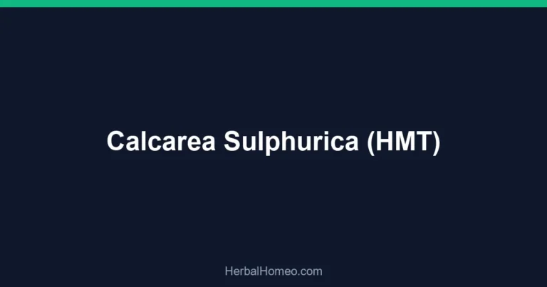 Calcarea Sulphurica (HMT)
