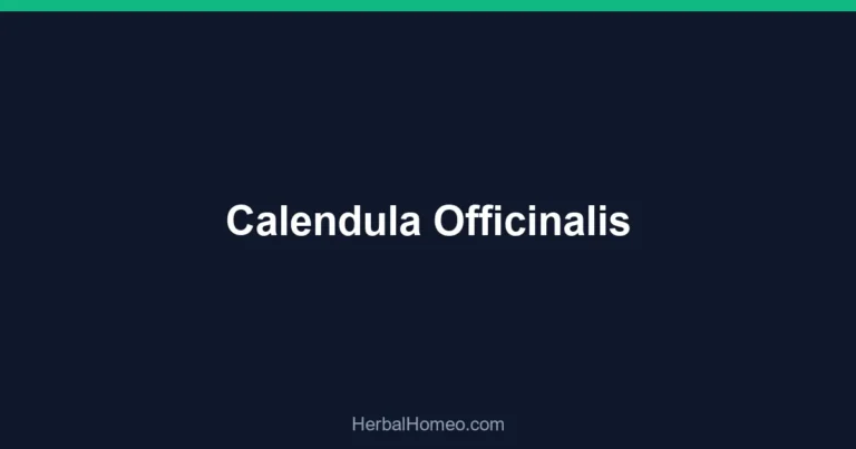 Calendula Officinalis