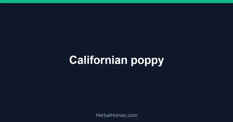 Californian poppy