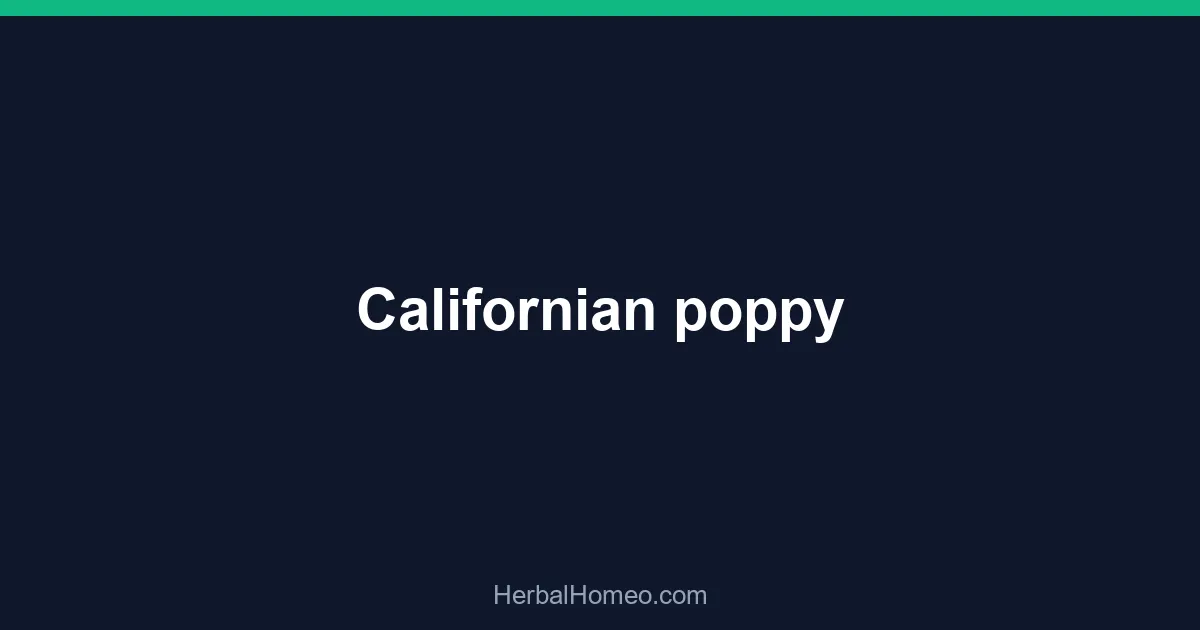 Californian poppy