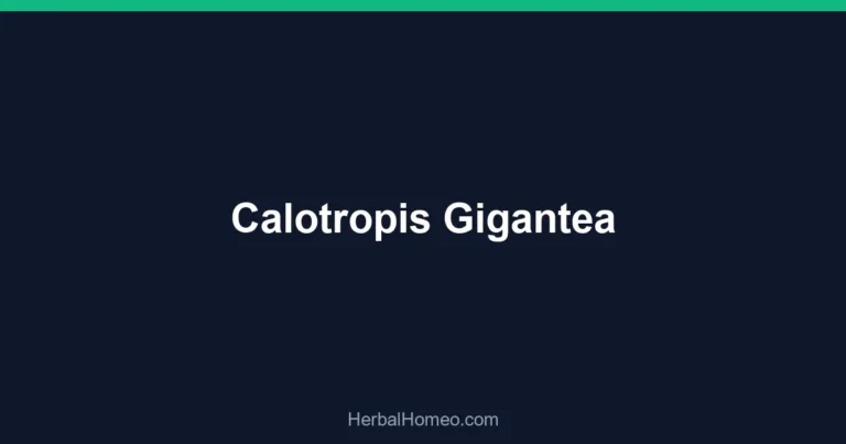 Calotropis Gigantea