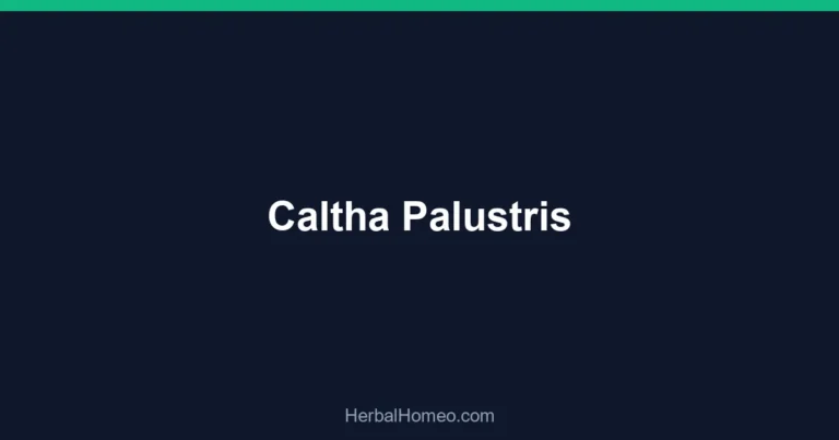 Caltha Palustris