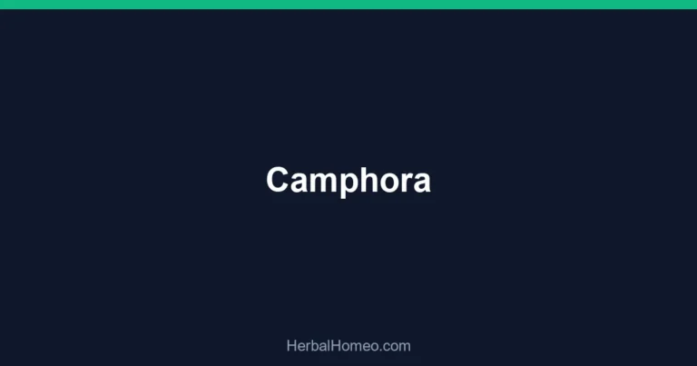Camphora