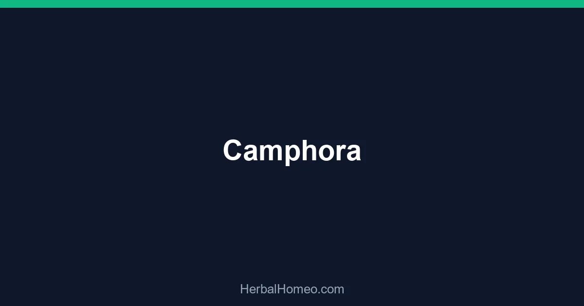 Camphora