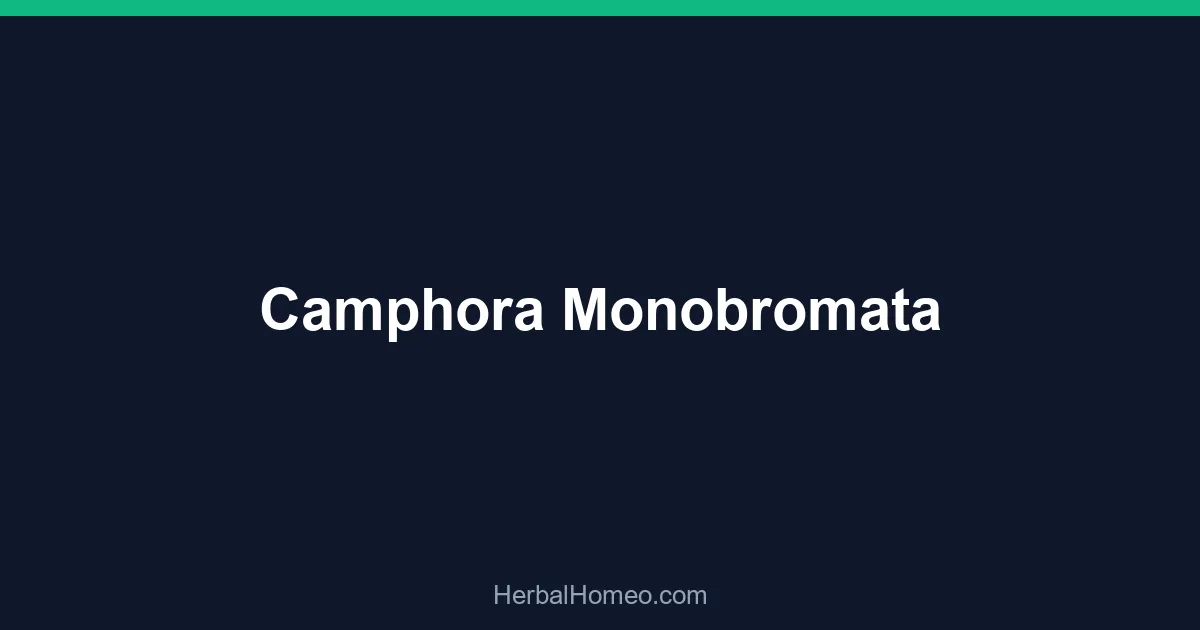 Camphora Monobromata
