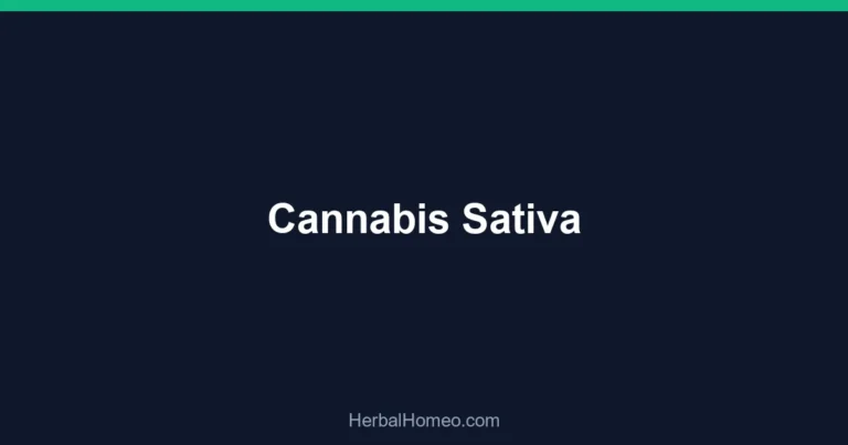 Cannabis Sativa
