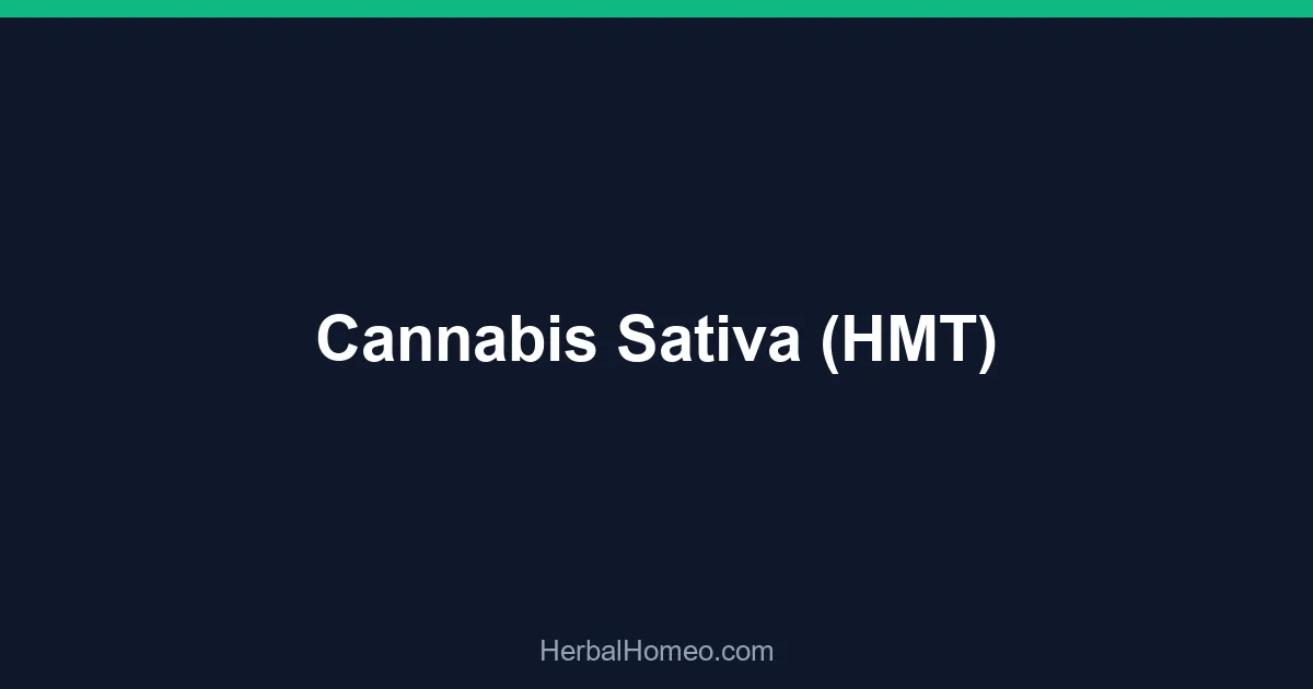 Cannabis Sativa (HMT)