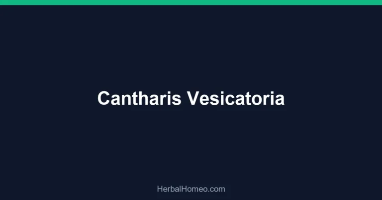 Cantharis Vesicatoria