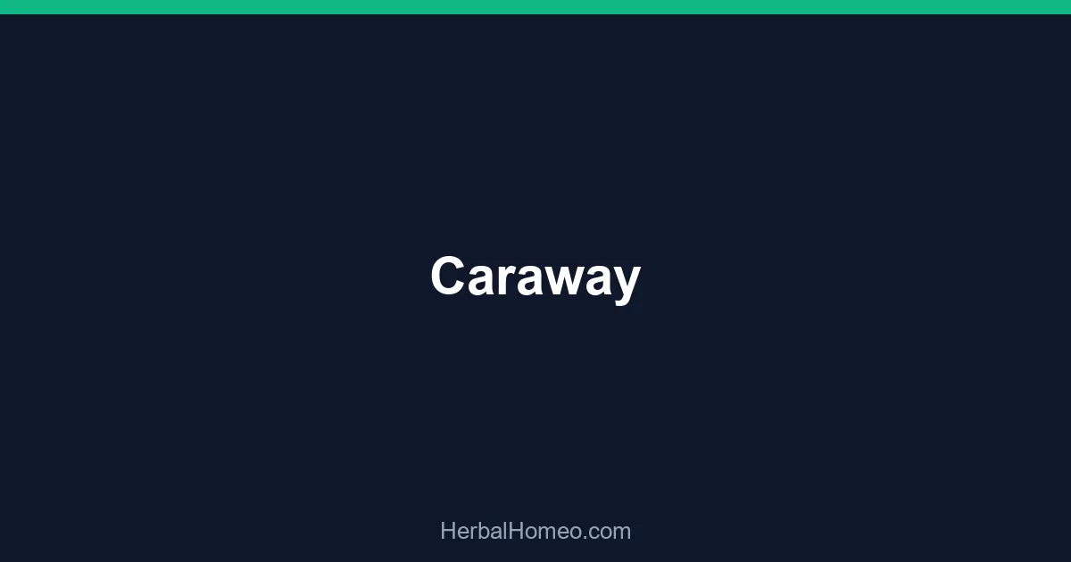 Caraway