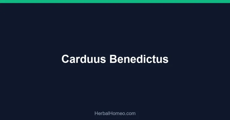 Carduus Benedictus