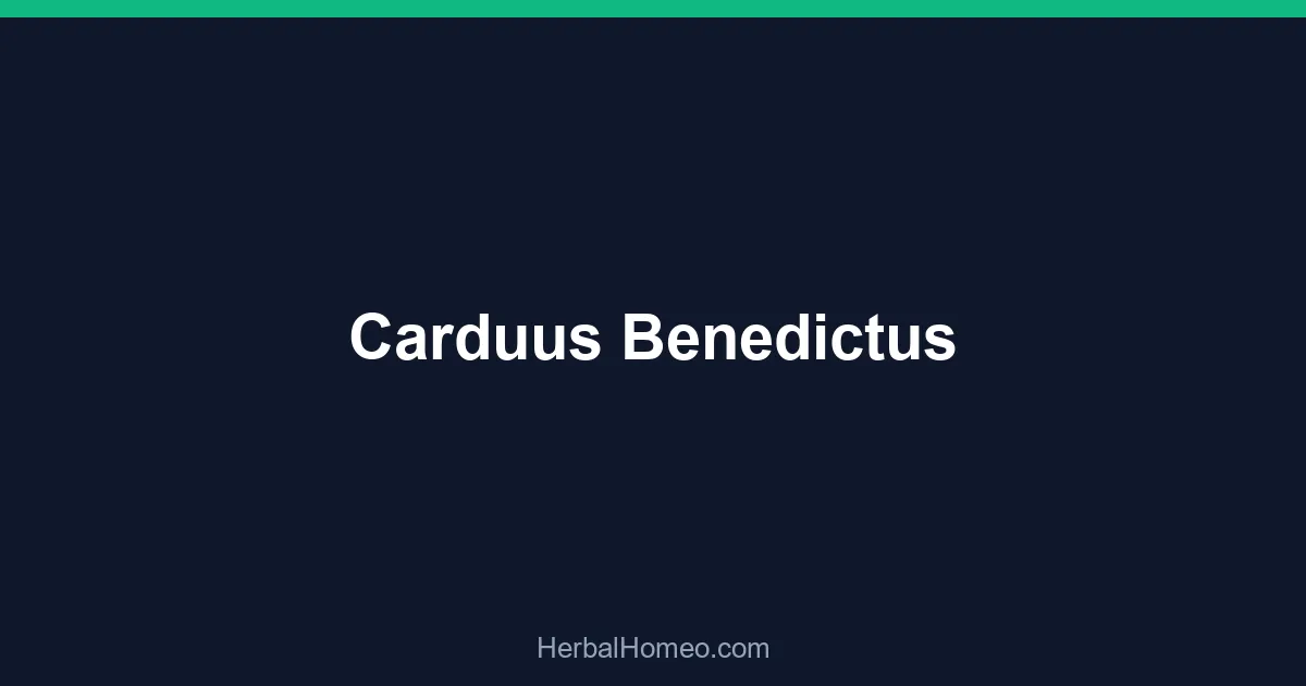 Carduus Benedictus