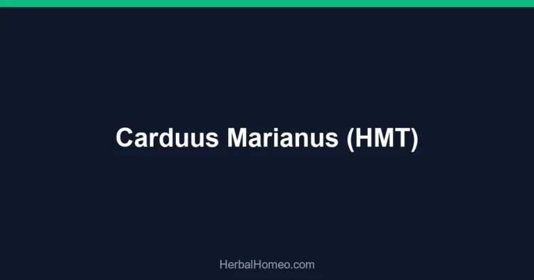 Carduus Marianus (HMT)