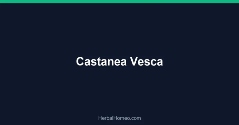 Castanea Vesca