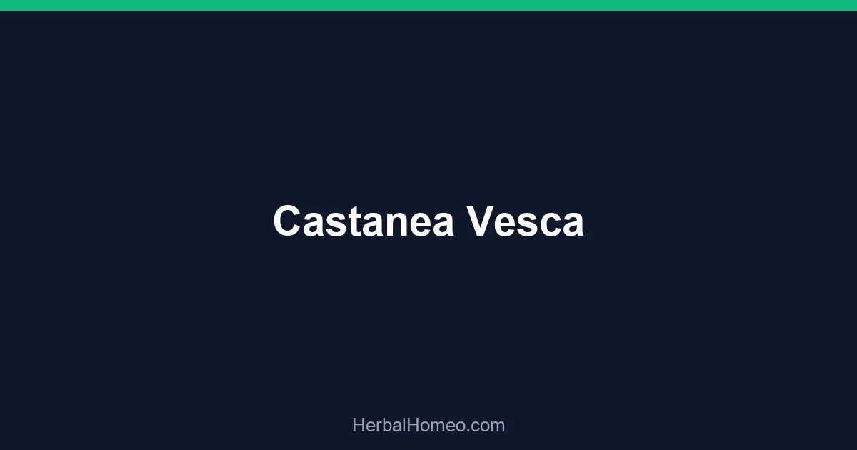 Castanea Vesca