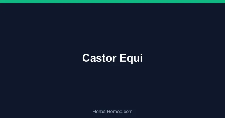 Castor Equi