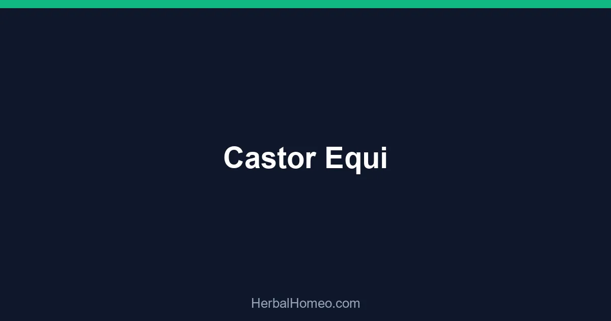 Castor Equi