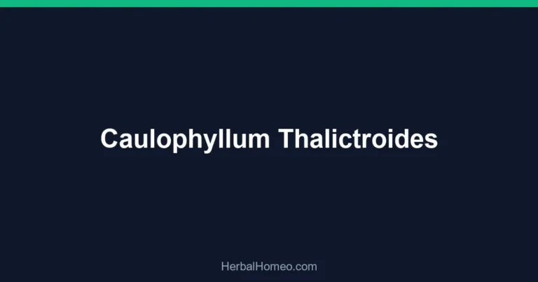 Caulophyllum Thalictroides