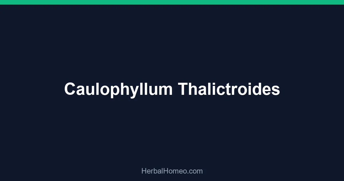 Caulophyllum Thalictroides