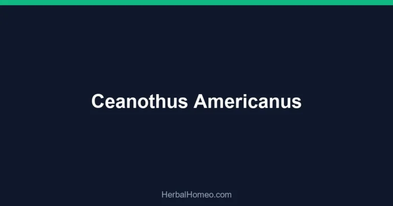 Ceanothus Americanus