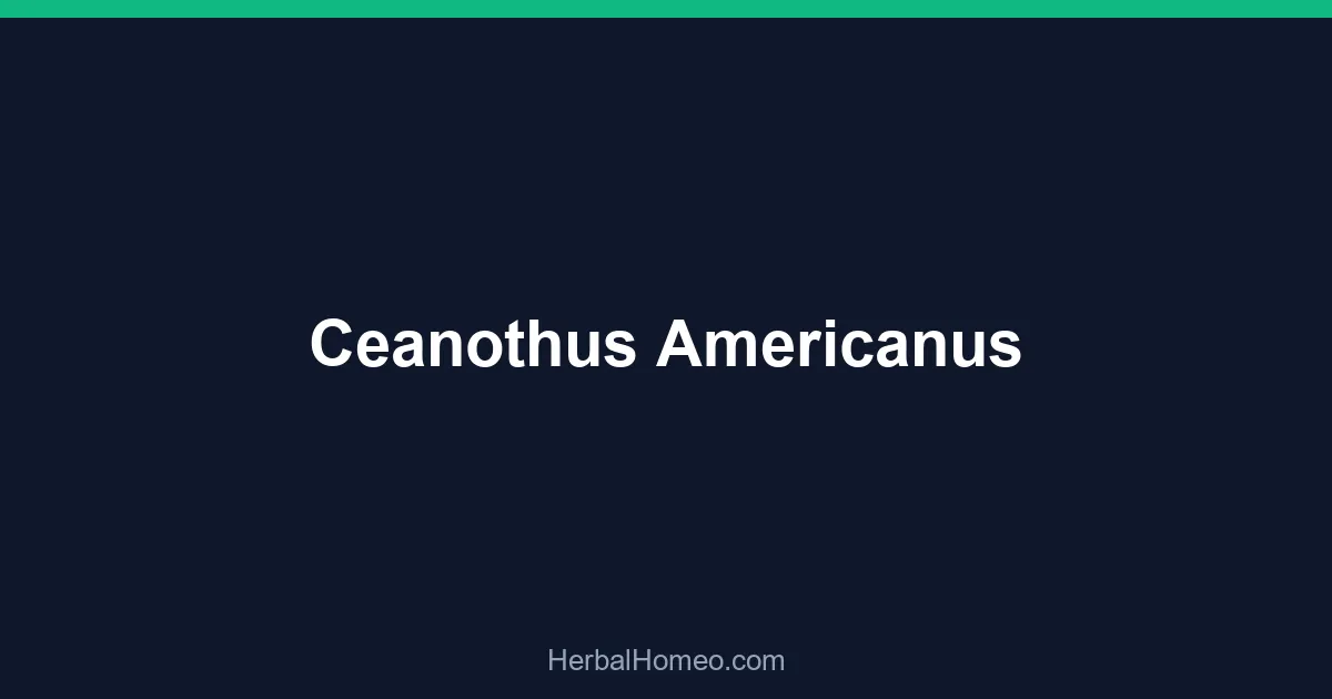 Ceanothus Americanus