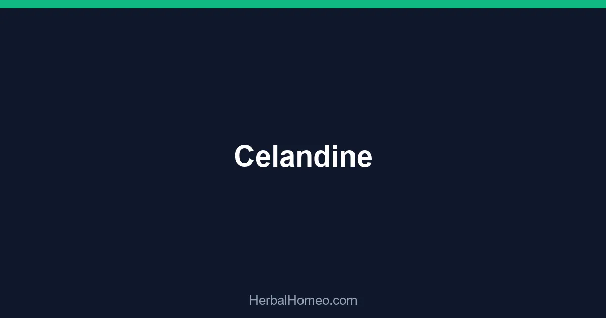 Celandine