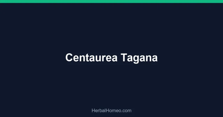Centaurea Tagana