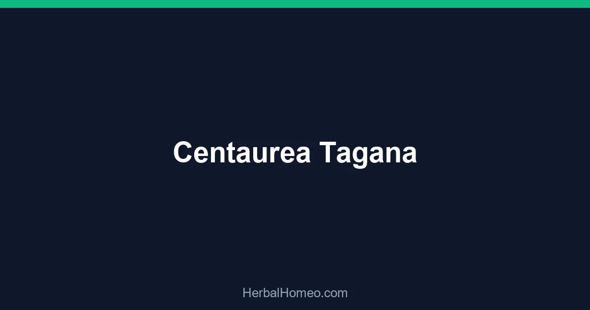 Centaurea Tagana