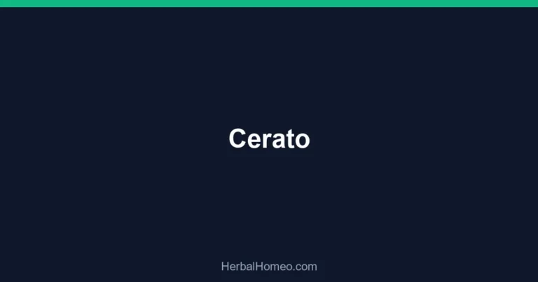 Cerato