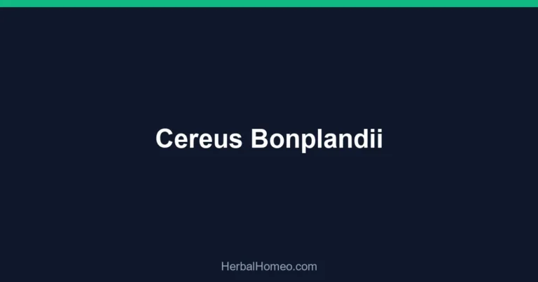 Cereus Bonplandii