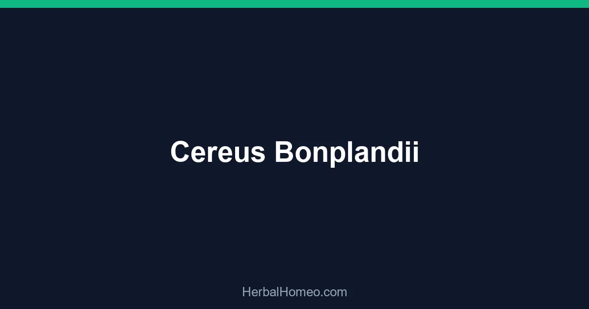 Cereus Bonplandii