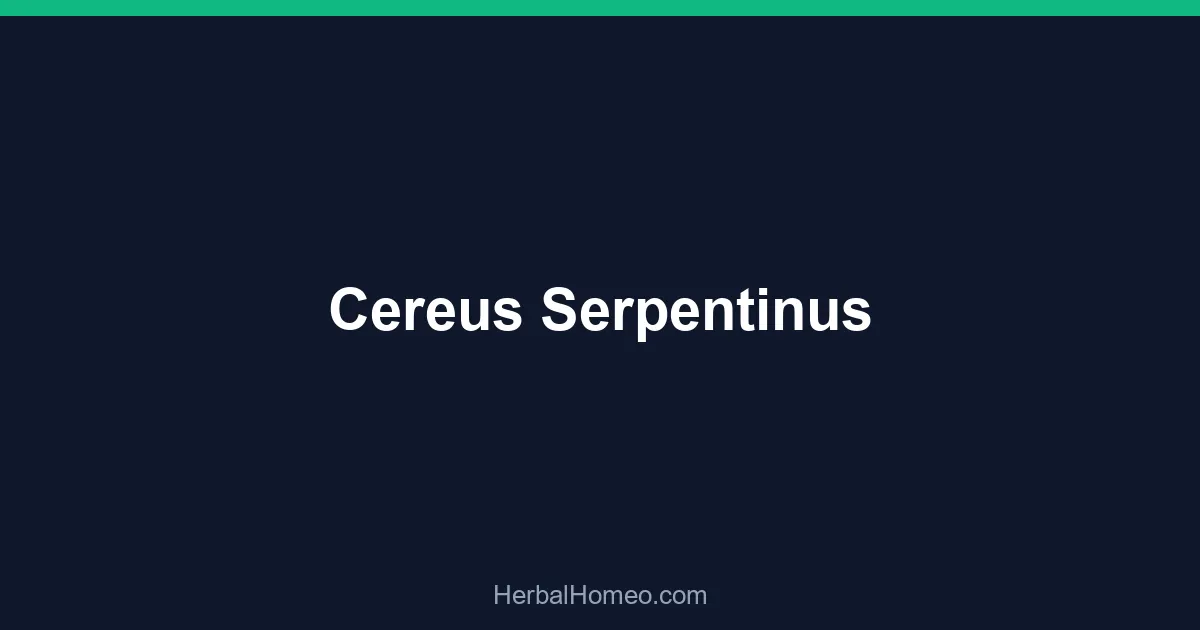 Cereus Serpentinus