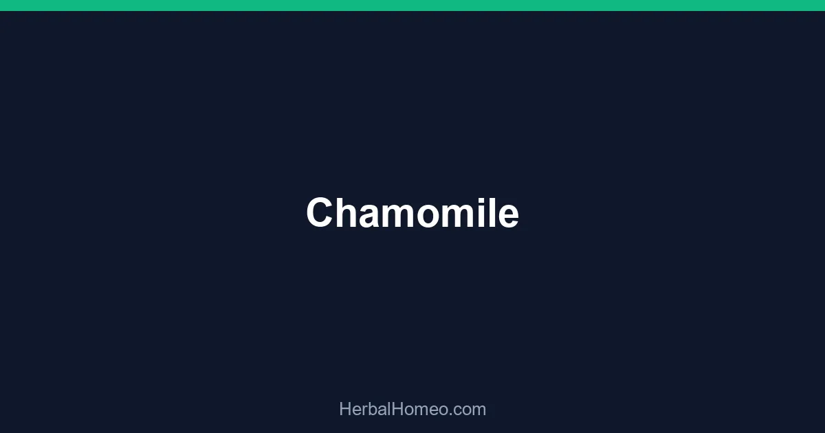 Chamomile
