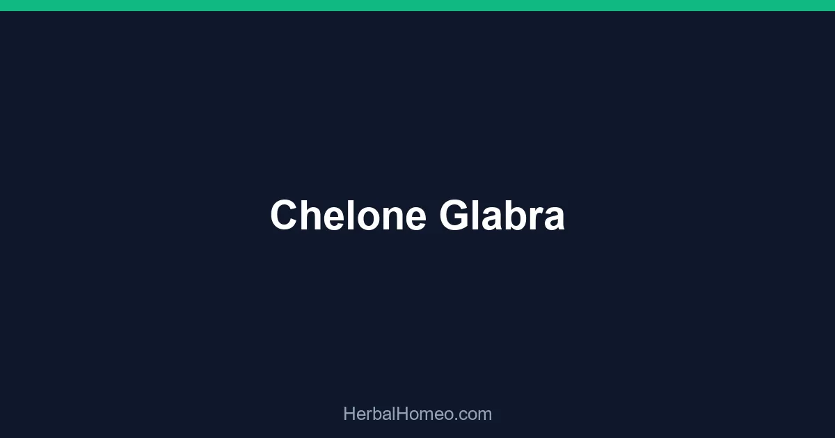 Chelone Glabra