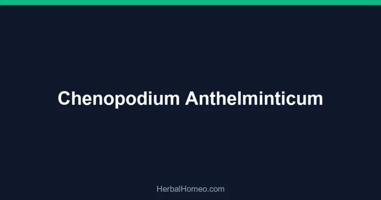 Chenopodium Anthelminticum