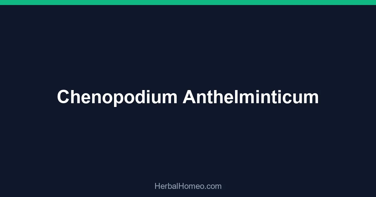 Chenopodium Anthelminticum