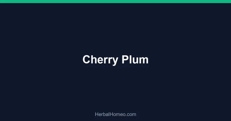 Cherry Plum