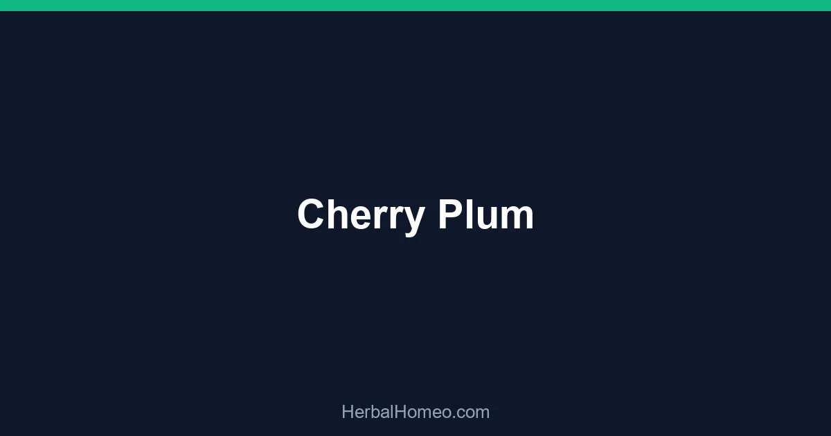 Cherry Plum
