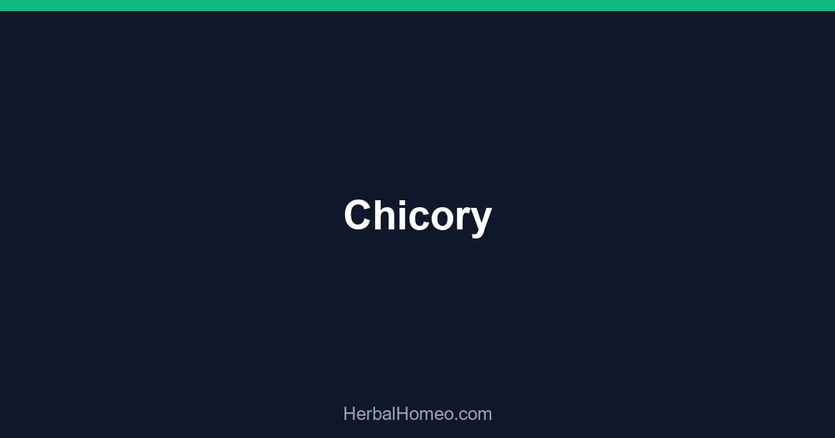 Chicory