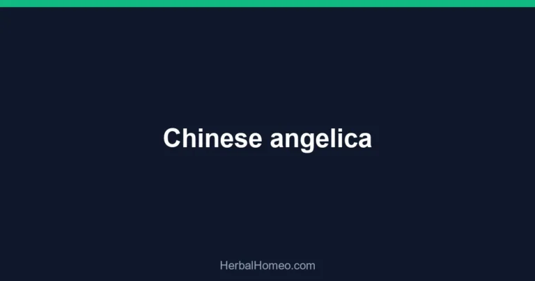 Chinese angelica