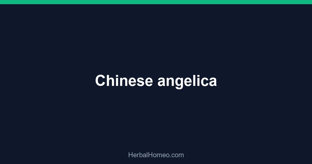 Chinese angelica