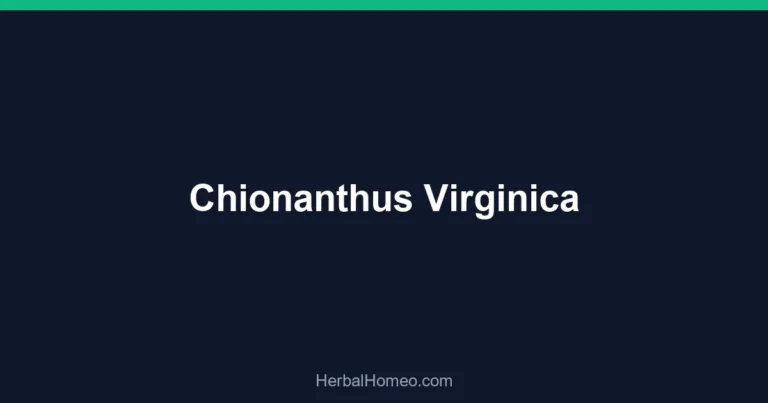 Chionanthus Virginica