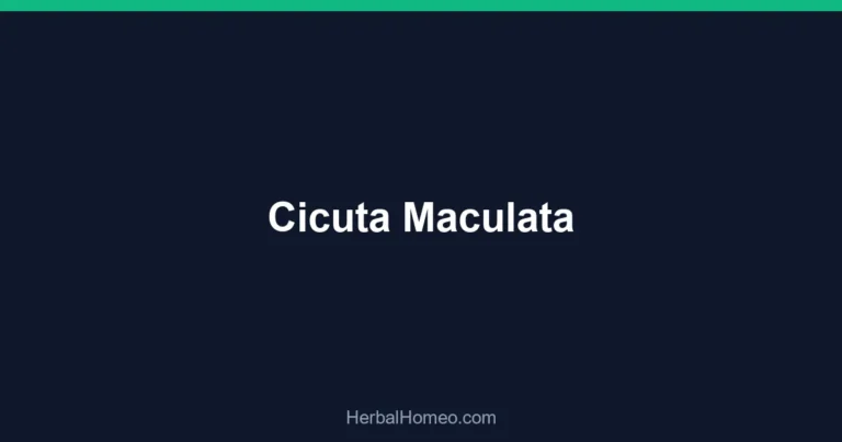 Cicuta Maculata