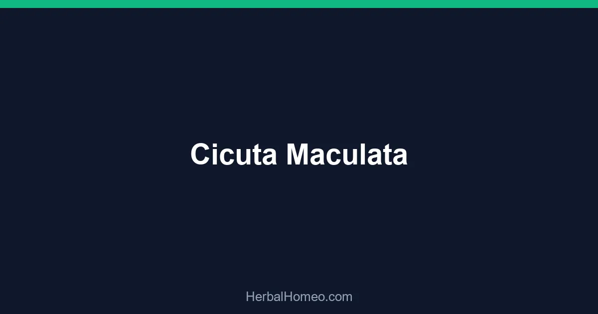 Cicuta Maculata