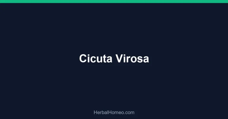 Cicuta Virosa