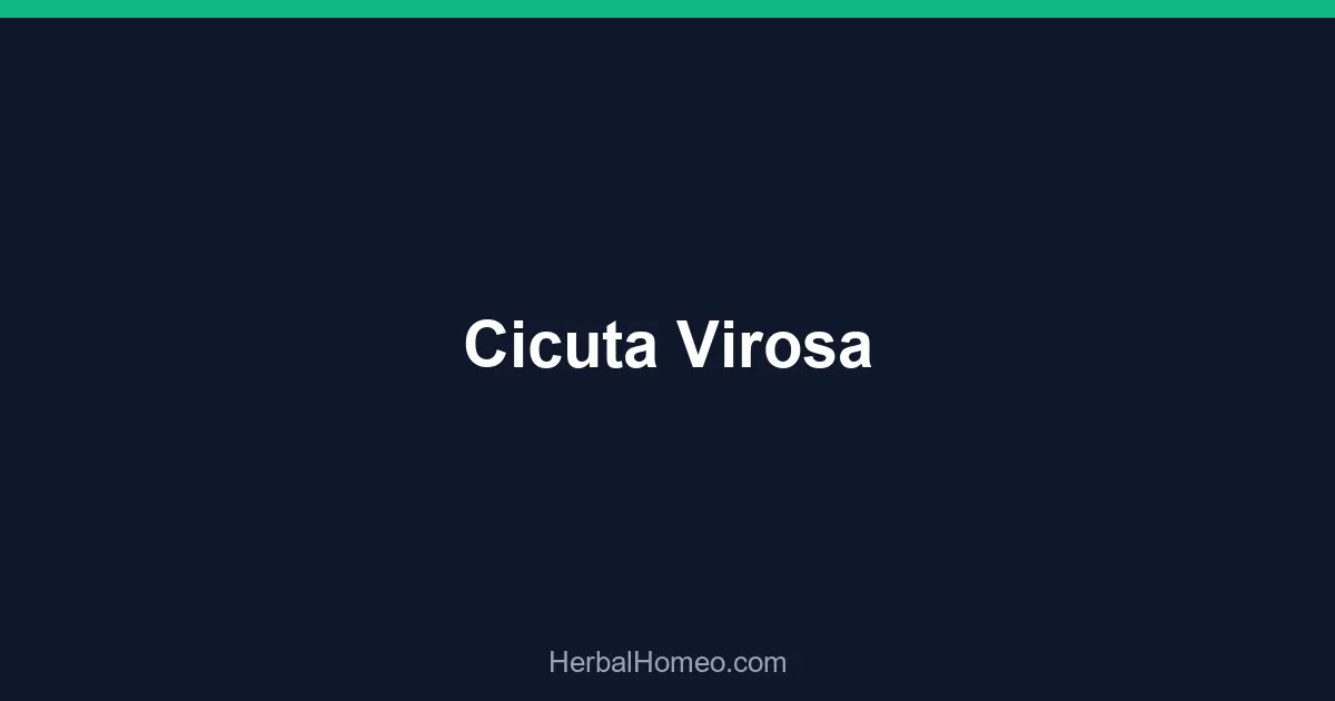 Cicuta Virosa