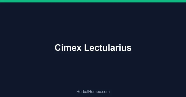 Cimex Lectularius