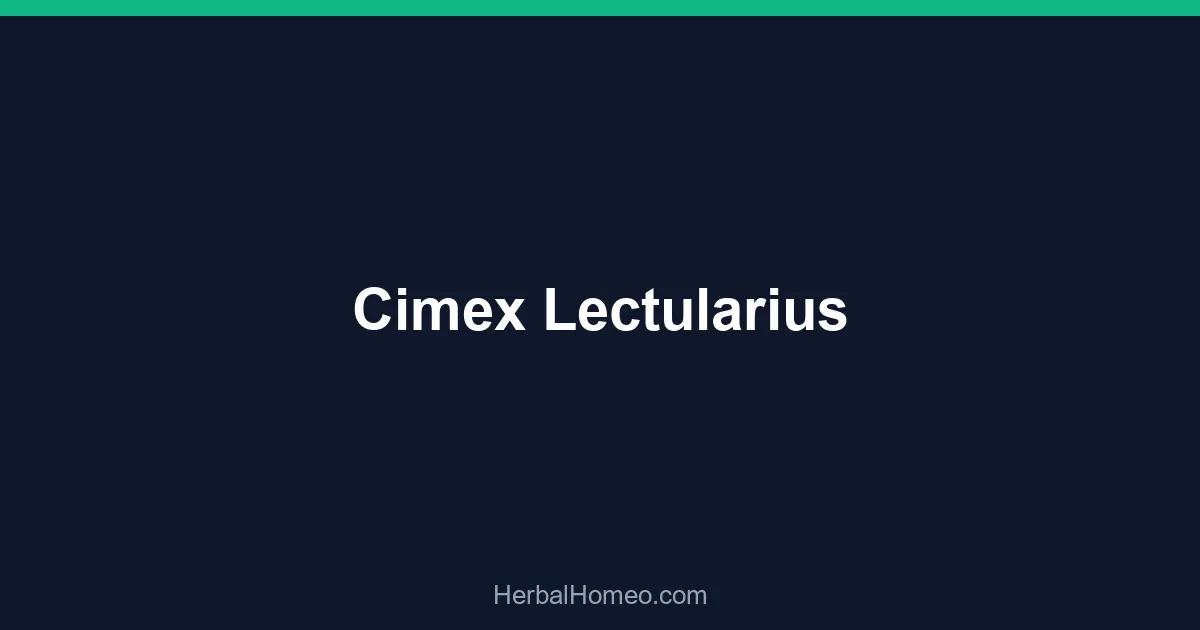 Cimex Lectularius